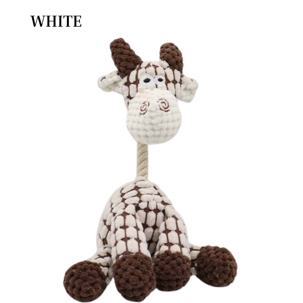 Dog Chew Toy