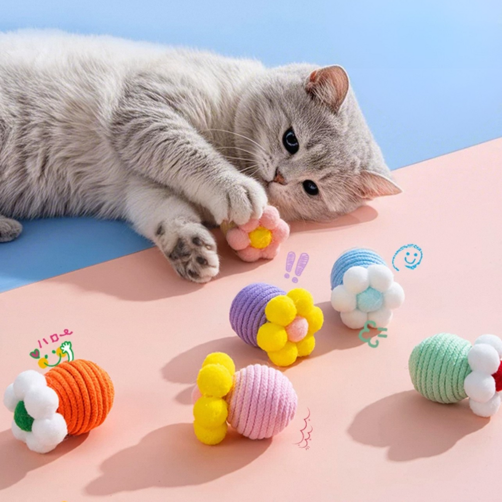 Cat Toys