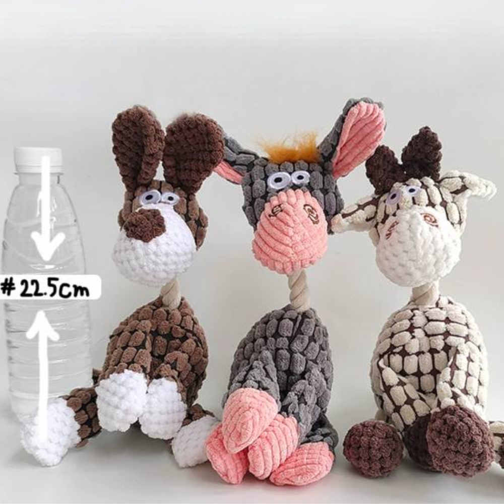 Dog Chew Toy