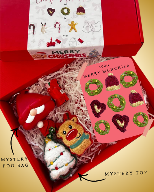 Christmas Blind Box Gift Box
