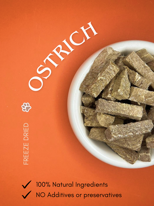 Freeze Dried Ostrich (50g)