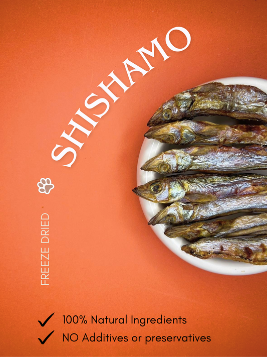 Freeze Dried Shishamo (50G)