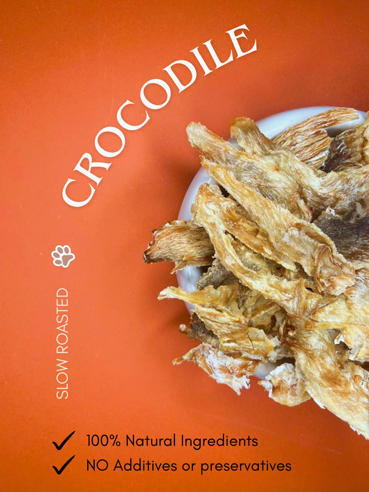 Slow-Roasted Crocodile (40G)