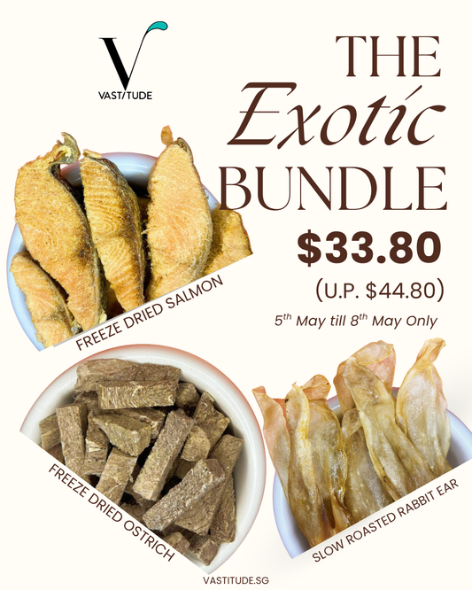 The Exotic Bundle